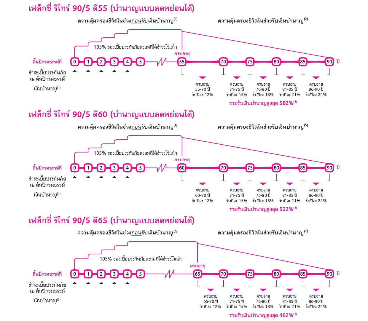 เฟล็กซี่ รีไทร์