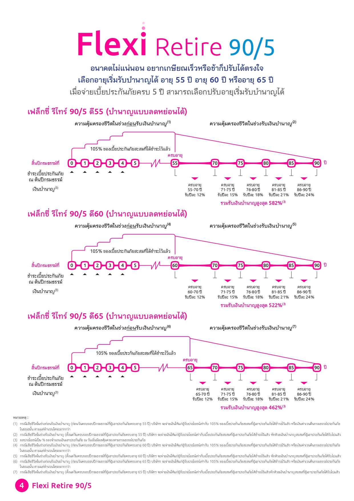 เฟล็กซี่ รีไทร์